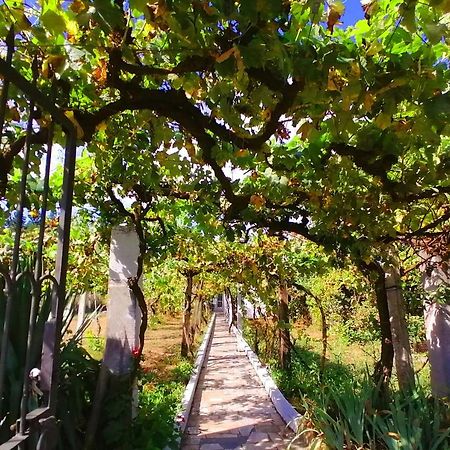 Morin Grey Casa En El Corazon De La Ribeira Sacra Βίλα Monforte De Lemos Εξωτερικό φωτογραφία