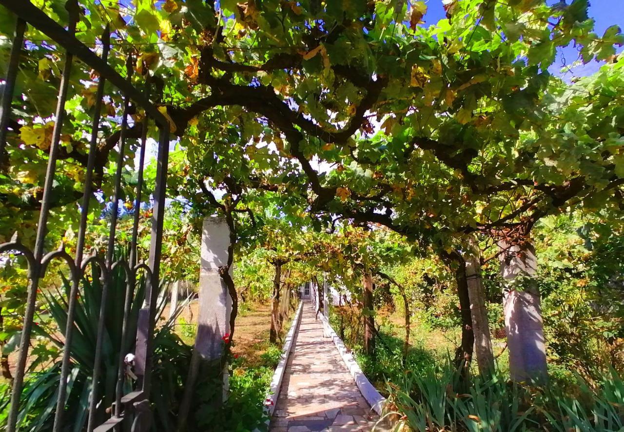 Morin Grey Casa En El Corazon De La Ribeira Sacra Βίλα Monforte De Lemos Εξωτερικό φωτογραφία