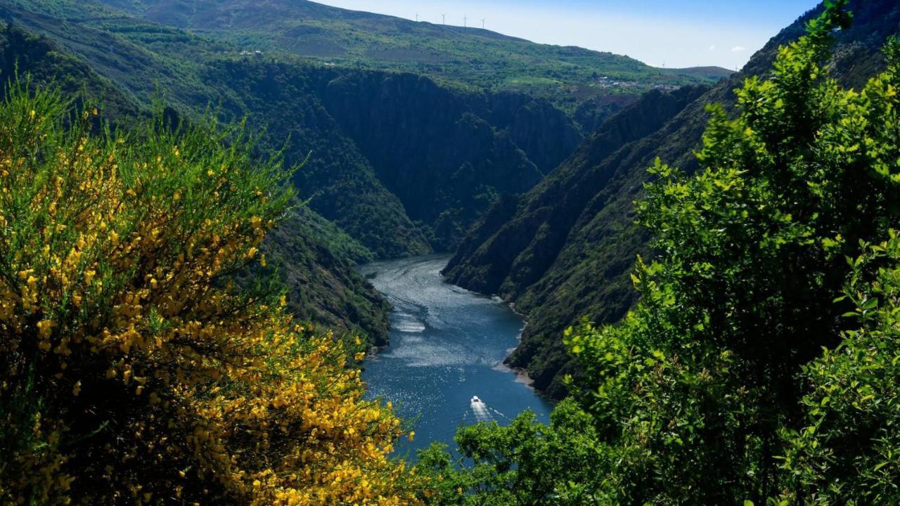 Morin Grey Casa En El Corazon De La Ribeira Sacra Βίλα Monforte De Lemos Εξωτερικό φωτογραφία