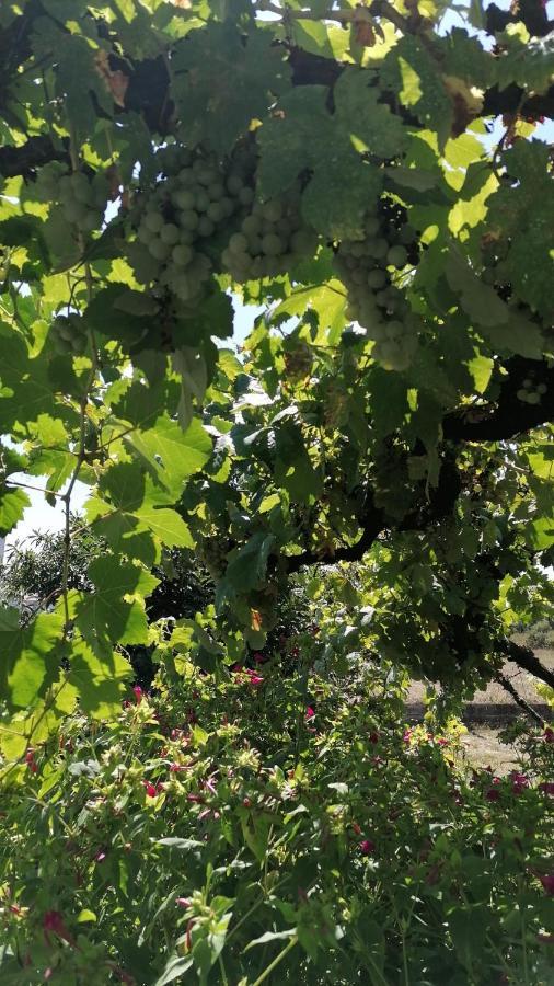 Morin Grey Casa En El Corazon De La Ribeira Sacra Βίλα Monforte De Lemos Εξωτερικό φωτογραφία