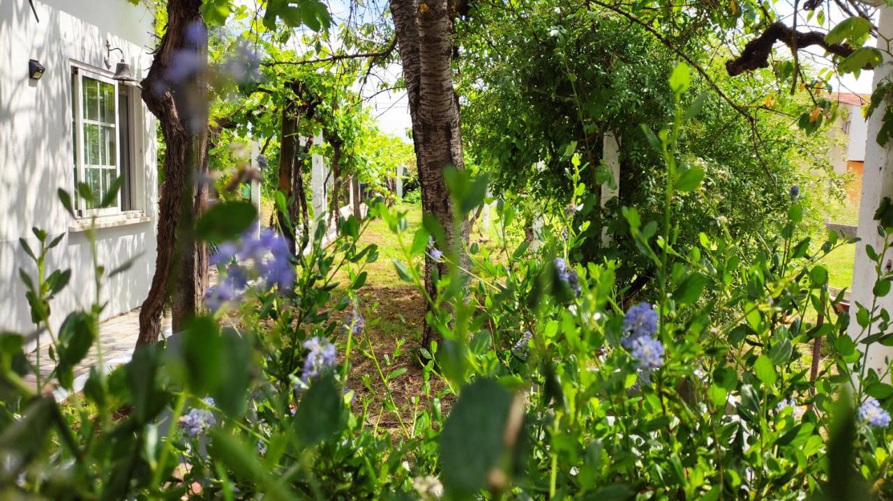 Morin Grey Casa En El Corazon De La Ribeira Sacra Βίλα Monforte De Lemos Εξωτερικό φωτογραφία