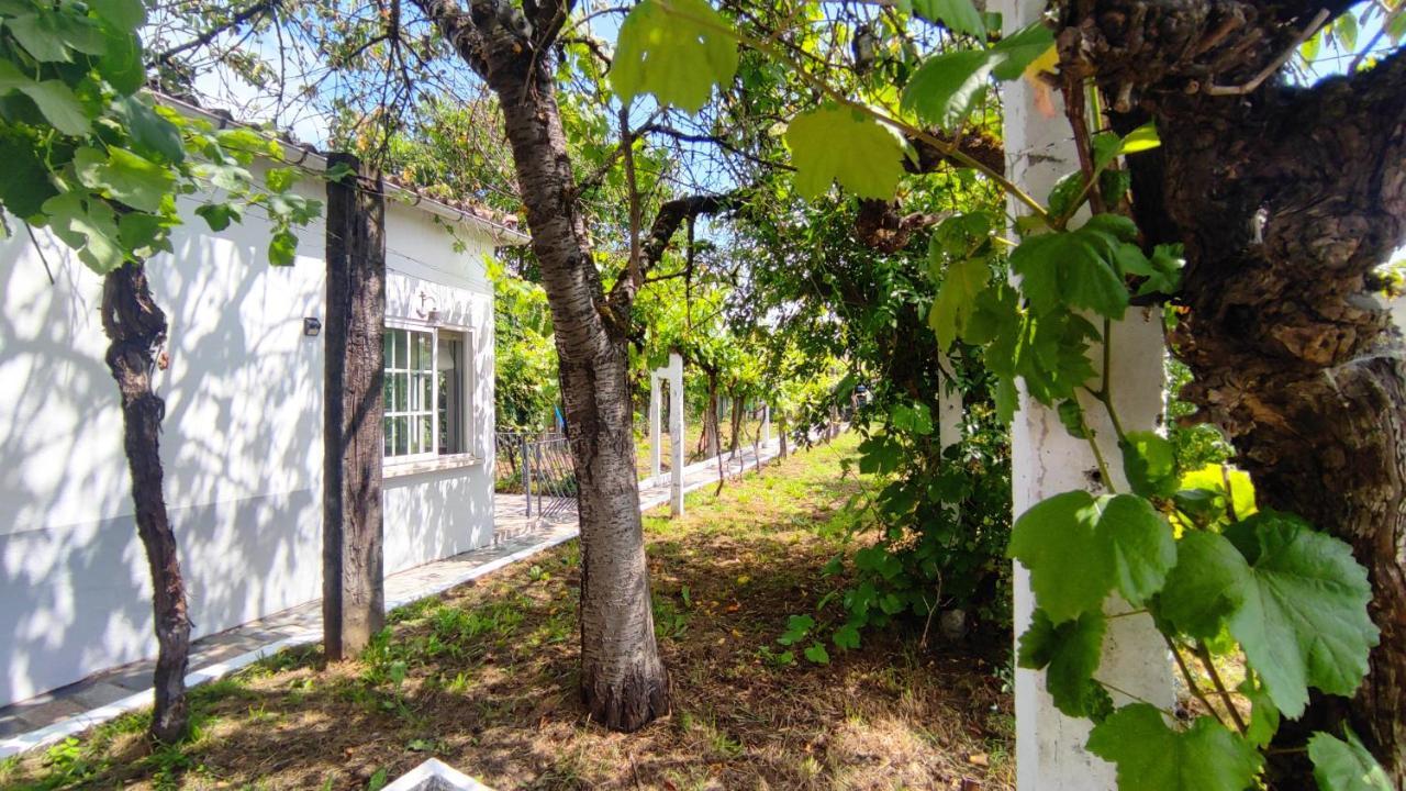 Morin Grey Casa En El Corazon De La Ribeira Sacra Βίλα Monforte De Lemos Εξωτερικό φωτογραφία