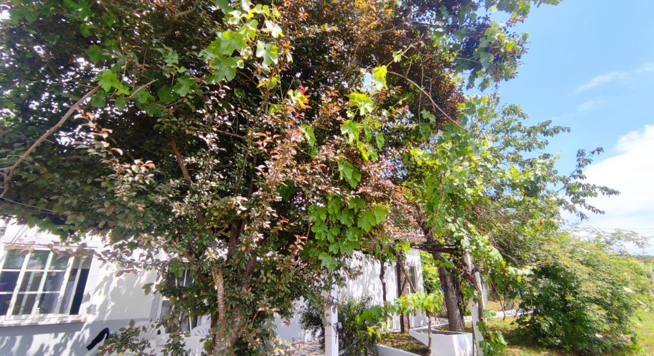 Morin Grey Casa En El Corazon De La Ribeira Sacra Βίλα Monforte De Lemos Εξωτερικό φωτογραφία
